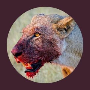 Meet your Posher, Arthur